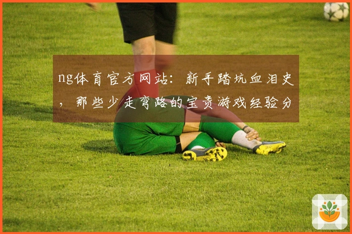 ng体育官方网站：新手踏坑血泪史，那些少走弯路的宝贵游戏经验分享