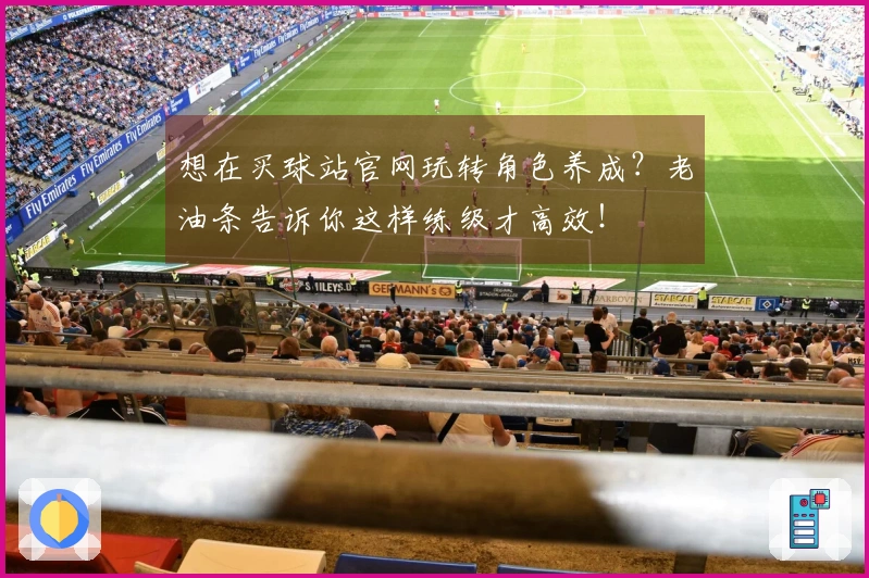 想在买球站官网玩转角色养成？老油条告诉你这样练级才高效！