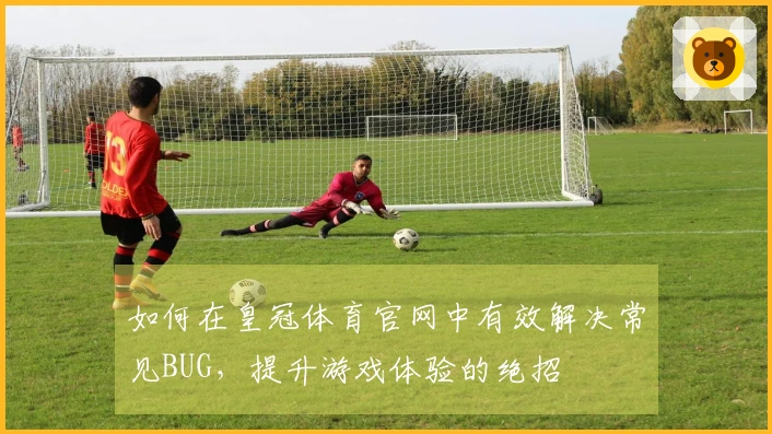 如何在皇冠体育官网中有效解决常见BUG，提升游戏体验的绝招