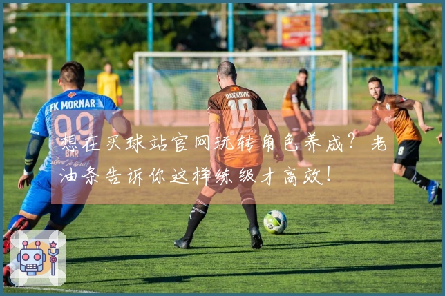 想在买球站官网玩转角色养成？老油条告诉你这样练级才高效！