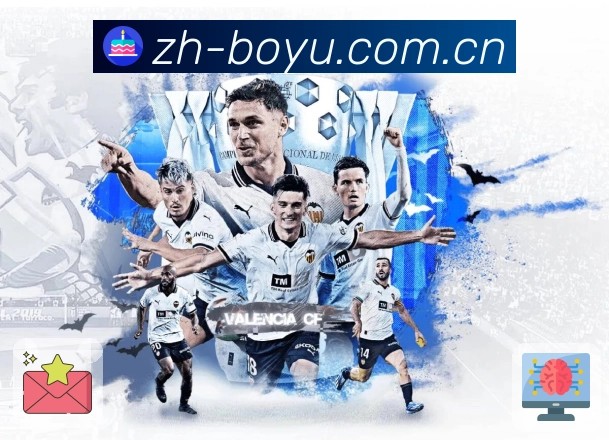 稳定与安全协同流程